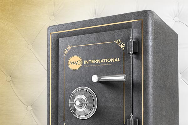 Image of MWG International Life Insurance Savings Vault